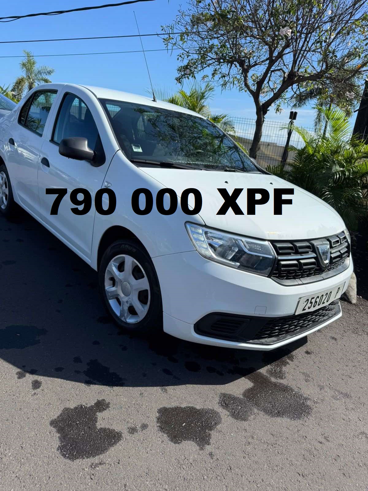 616572813_1374440344727444_883721832598691393_n