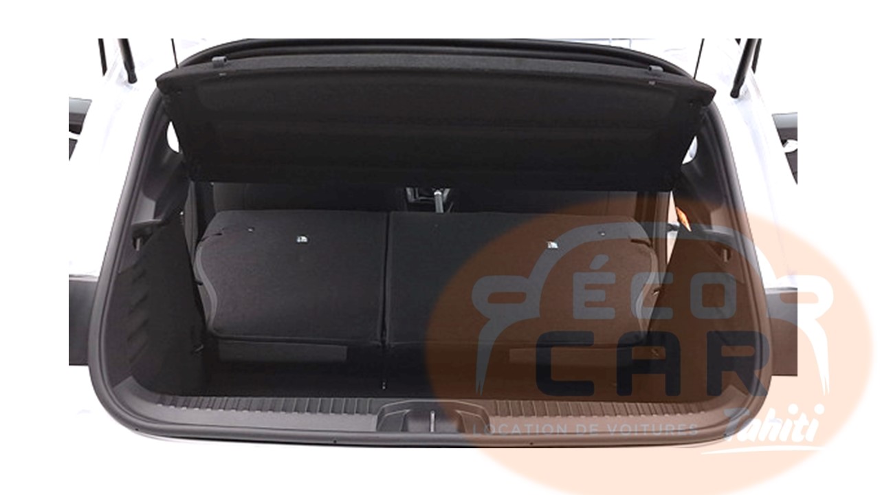 CLIO FILIGRAMME ECOCAR (1)